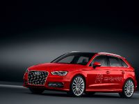 Audi A3 e-tron (2014) - picture 1 of 4