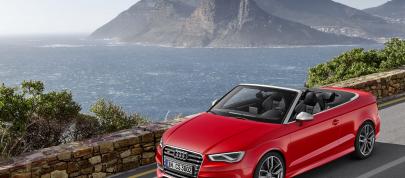 Audi S3 Cabriolet (2014) - picture 4 of 8
