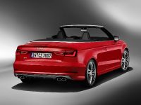 Audi S3 Cabriolet (2014)
