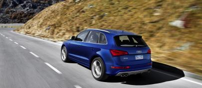 Audi SQ5 (2014) - picture 4 of 4