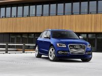 Audi SQ5 (2014) - picture 1 of 4