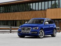 Audi SQ5 (2014) - picture 2 of 4