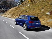 Audi SQ5 (2014) - picture 4 of 4