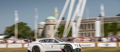 Bentley Continental GT3 (2014) - picture 4 of 5