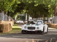 Bentley Continental GT3 (2014) - picture 2 of 5
