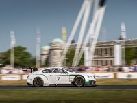 Bentley Continental GT3 (2014) - picture 4 of 5