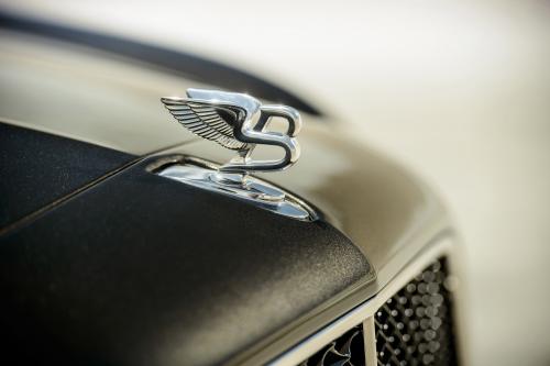Bentley Mulsanne Speed (2014) - picture 8 of 12