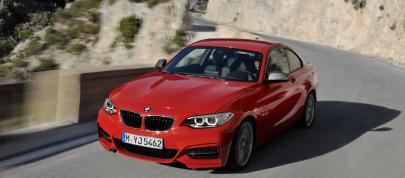 BMW 2-Series Coupe (2014) - picture 4 of 42