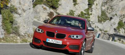 BMW 2-Series Coupe (2014) - picture 7 of 42