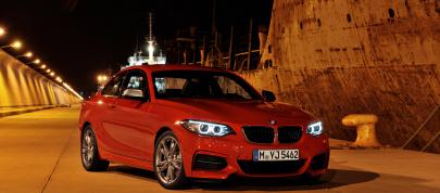 BMW 2-Series Coupe (2014) - picture 12 of 42