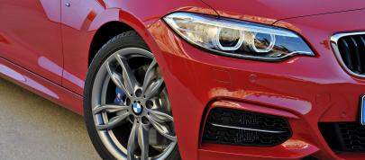 BMW 2-Series Coupe (2014) - picture 15 of 42
