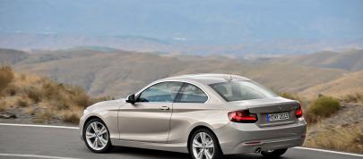 BMW 2-Series Coupe (2014) - picture 20 of 42