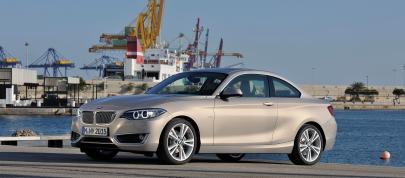 BMW 2-Series Coupe (2014) - picture 23 of 42