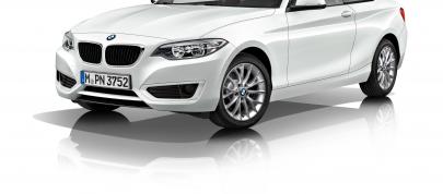 BMW 2-Series Coupe (2014) - picture 28 of 42