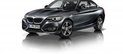 BMW 2-Series Coupe (2014) - picture 31 of 42