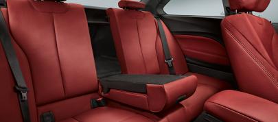 BMW 2-Series Coupe (2014) - picture 36 of 42