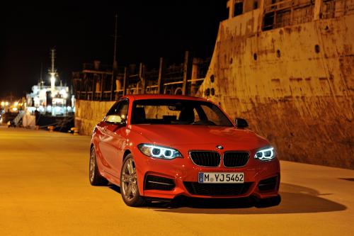 BMW 2-Series Coupe (2014) - picture 9 of 42