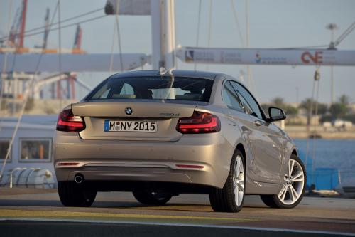 BMW 2-Series Coupe (2014) - picture 25 of 42