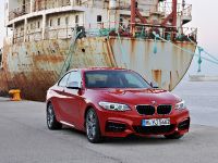 BMW 2-Series Coupe (2014) - picture 1 of 42