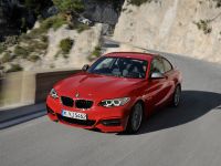 2014 BMW 2-Series Coupe, 4 of 42