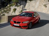 BMW 2-Series Coupe (2014) - picture 4 of 42