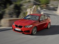 BMW 2-Series Coupe (2014) - picture 5 of 42