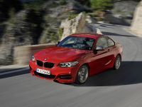 BMW 2-Series Coupe (2014) - picture 6 of 42