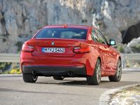 BMW 2-Series Coupe (2014) - picture 8 of 42