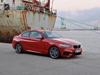 BMW 2-Series Coupe (2014) - picture 10 of 42