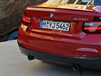 BMW 2-Series Coupe (2014) - picture 14 of 42