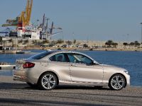 BMW 2-Series Coupe (2014) - picture 19 of 42