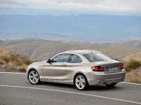 BMW 2-Series Coupe (2014)