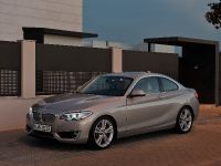 BMW 2-Series Coupe (2014) - picture 22 of 42