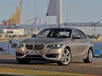 BMW 2-Series Coupe (2014)