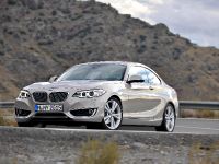 BMW 2-Series Coupe (2014) - picture 26 of 42