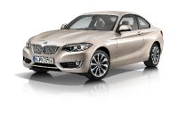 BMW 2-Series Coupe (2014) - picture 27 of 42