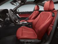 BMW 2-Series Coupe (2014) - picture 37 of 42