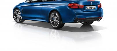 BMW 4-Series Convertible (2014) - picture 4 of 46