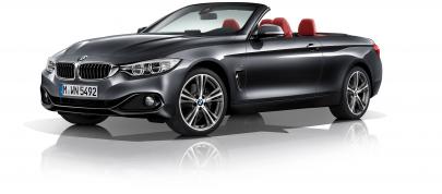 BMW 4-Series Convertible (2014) - picture 7 of 46