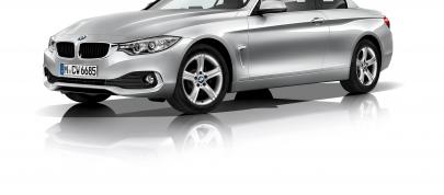 BMW 4-Series Convertible (2014) - picture 12 of 46