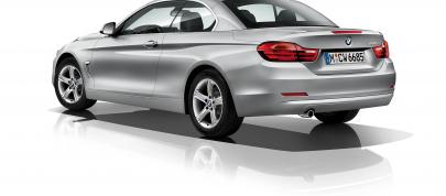 BMW 4-Series Convertible (2014) - picture 15 of 46