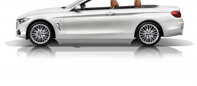 BMW 4-Series Convertible (2014) - picture 20 of 46