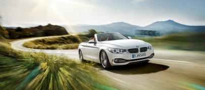 BMW 4-Series Convertible (2014) - picture 23 of 46