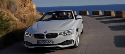 BMW 4-Series Convertible (2014) - picture 31 of 46