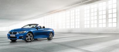 BMW 4-Series Convertible (2014) - picture 36 of 46
