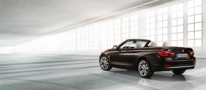 BMW 4-Series Convertible (2014) - picture 39 of 46