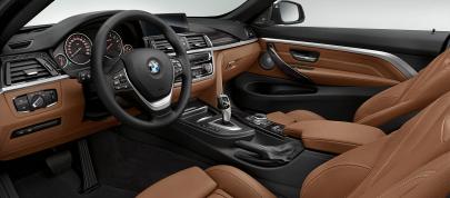 BMW 4-Series Convertible (2014) - picture 44 of 46