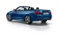BMW 4-Series Convertible (2014) - picture 3 of 46