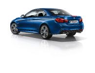 BMW 4-Series Convertible (2014) - picture 4 of 46