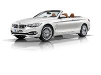 BMW 4-Series Convertible (2014) - picture 10 of 46